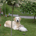 Lekker op het gras tussen de bomen en bloemen heeeeeerlijk