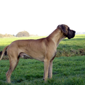Roger na dat we hem 1 jaar hadden