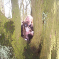 Hier ging ik met mijn vrouwtje poseren in een leuke boom, ik was toen met mijn baasje en vrouwtje lekker aan het wandelen in het bos!