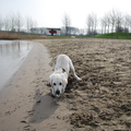 Clooney vond het heerlijk op het strand, vooral graven!!