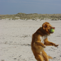 hier vangt robbie de bal