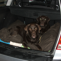 Als de koffers in zicht zijn, en de auto wordt ingeladen gaan de doggies alvast in de kattenbak op hun dekens liggen! Wij gaan ook mee!!!