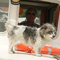 Samen met haar vriendin Dobby heeft Flupke een geweldige week doorgebracht op een bootje in Zuid Frankrijk, Canal du Midi!