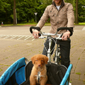 Caya is gek op ritjes in de bakfiets!