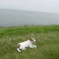 Bovenop de dijk van het ijsselmeer.