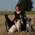 Baasje, Rune, Paloma, Wolf en Pixie 