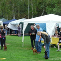 Voor de eerste keer bracht ik Cody uit,in de Puppy Klasse.
Het was een KSA show in Duitsland.