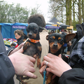 Spooky en ik samen een dagje uit naar de chihuahua beauty contest :)
Daar ontmoeten we vriendjes haha