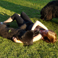 Heerlijk samen dollen met mijn doggy's in het gras onder de zon.