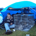 wij gingen de 25ste met de hondjes naar behendigheidswedstrijd in Hardenberg ! en zo zaten we toen het regende gezellig onder onze zelfgemaakte 'tent'