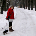op deze foto loop ik met mijn toen nog pup in het bos! Voor haar was het een kennismaking met sneeuw! Ondanks de kou en nattigheid vond ze het heerlijk en ik dus ook :-)