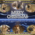hierbij  wens ik alle lieve hondebezitters  een gelukkig kerstfeest....