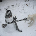 Vorig jaar winter een mooie sneeuwpop gemaakt en Tara vond dat vast en zeker niet... 