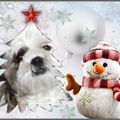 allemaal fijne feesdagen en een gelukkig nieuwjaar en allemaal heel veel liefde van jullie hond