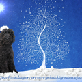 Google is een bijna 9 maanden oude pup die zijn eerste kerst met ons viert :-) de foto is bewerkt en als papieren kaart verstuurd naar familie en vrienden.