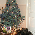 Hier heb je de vier musketiers bij de KERSTBOOM.
Gr De Dwergjes