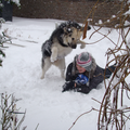 We waren net foto's aan het maken voor op de kerstkaart en ja hoor, daar viel ik languit op de grond....

En nu hadden we dus ons fototoestel bij de hand...