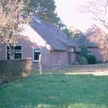 Hondvriendelijke vakantiehuizen  in Drenthe