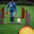 Amy bij de laatste test van de puppy cursus in 2010.