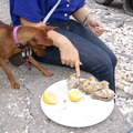 Op reis was Dina toch wel nieuwsgierig hoe een oester zou smaken? ;)
