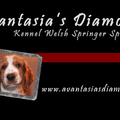 Avantasia's Diamond