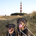 Rottweilerkennel van de Wodanahoeve