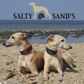 Salty Sand's