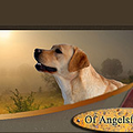 Angelsfantasy 