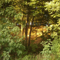 spaubeek