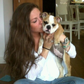 Engelse Bulldog