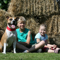 Roco's Amstaff
