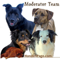 Honden-Mod-Team & Arjen