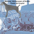 Meander Weimaraners & Teckels -Tineke de Gruijter