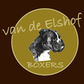 Van de Elshof boxers