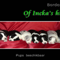 Of Incka's Hills