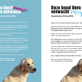 Goldenpups van Antonisse