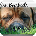 Boel-Inn Boerboels
