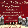Of The Benjy Bunch