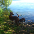 Yuna en Geethi aan het water