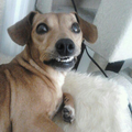 huh.... he... wat... zo zit me lip altijd... 