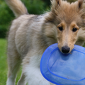 Het allerliefste speelt ze met een plastic bordje.