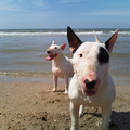 op het strand