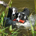 Van't Rublisiehof