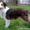 Van't Rublisiehof