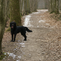 Doedeltjes