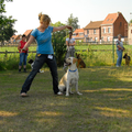 Overgang in de puppy klas