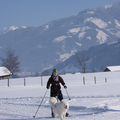 Eerste keer ski-jorring met Polar, en het was super leuk!