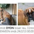 Dyon vermist