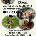 Dyon vermist