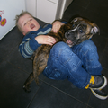 Hier op de foto mijn zoontje die helemaal gek is op Mr. Wilson onze old englisch bulldog van 24/10/2012